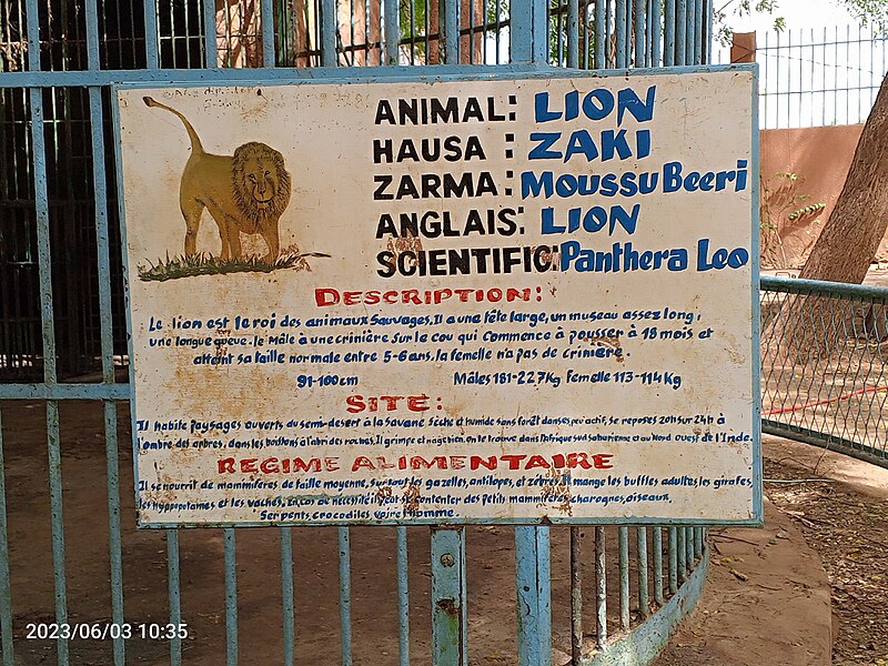 File:Plaque indicatif du lion au Musée National Boubou Hama.jpg