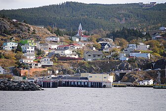 Zicht op de haven van Portugal Cove