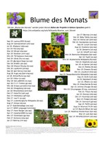 Miniatuur voor Bestand:Poster Blume des Monats 2019.pdf