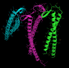 Crystal structure of prefoldin from the heat-loving marine archaea Pyrococcus horikoshii[125]