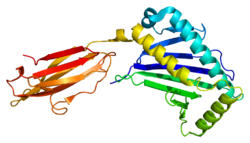 Белок MICB PDB 1je6.png