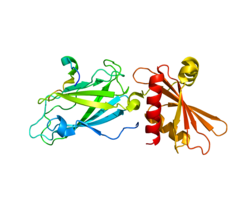 Protein PIP5K1C PDB 3H1Z.png