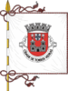 Flag of Torres Vedras