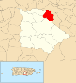 Locatie van Pulguillas binnen de gemeente Coamo weergegeven in het rood