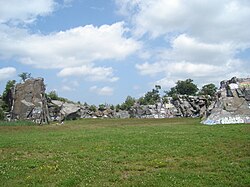 Quincy Quarries Reservation June 2009 4.jpg