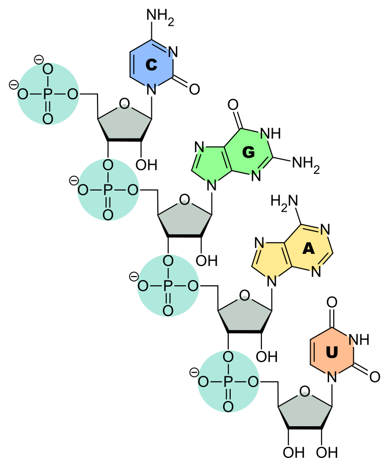 Ficheiro:Diep.io classes.png – Wikipédia, a enciclopédia livre