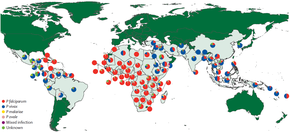 Relative incidence of Plasmodium species by country of origin for imported cases to non-endemic countries Relative incidence of Plasmodium (malaria) species by country of origin for imported cases to non-endemic countries.png