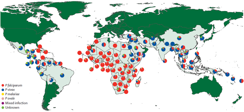 File:Relative incidence of Plasmodium (malaria) species by country of origin for imported cases to non-endemic countries.png