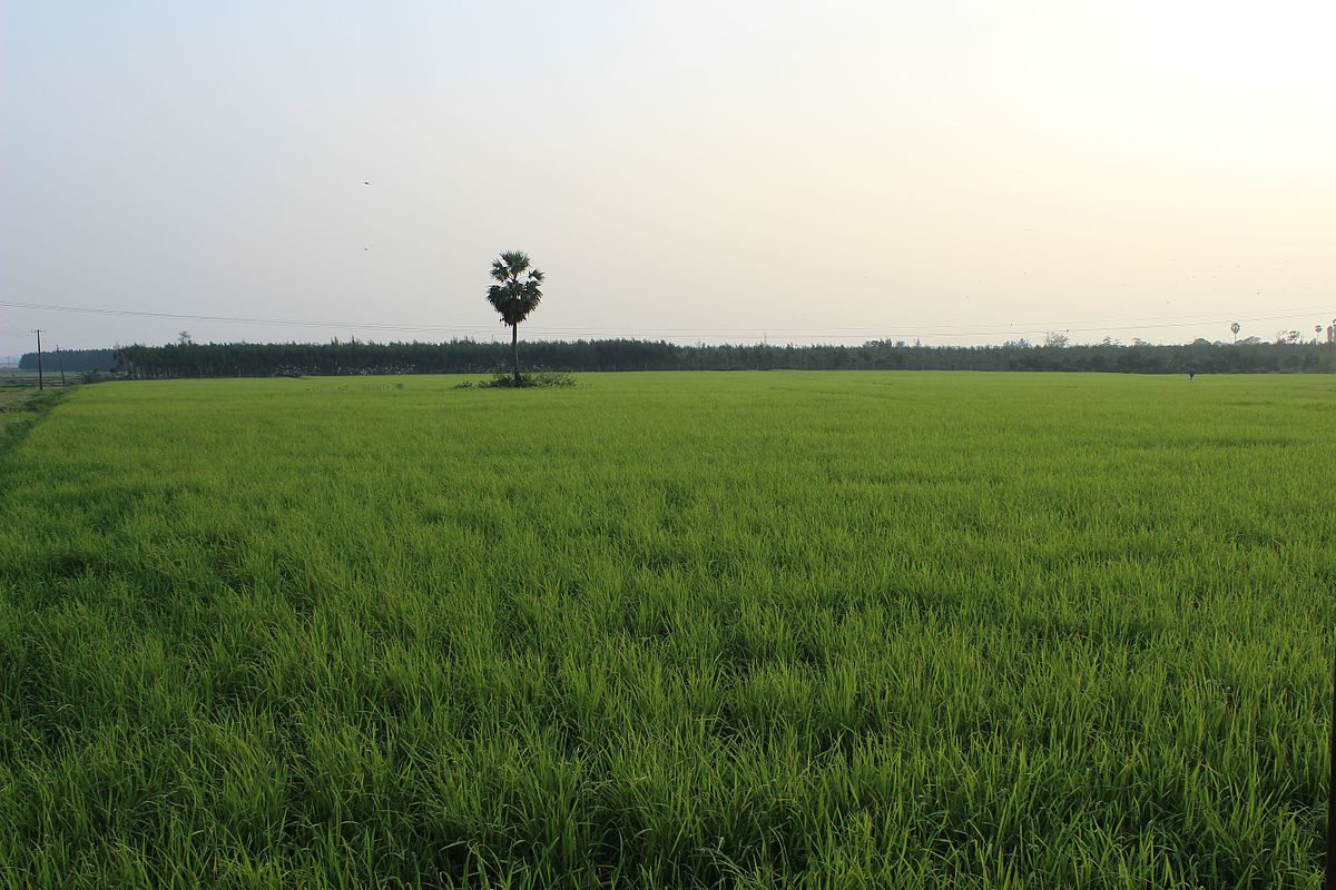 factors influencing agriculture in india