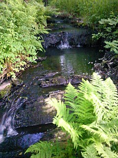 Rödelbach river in Germany