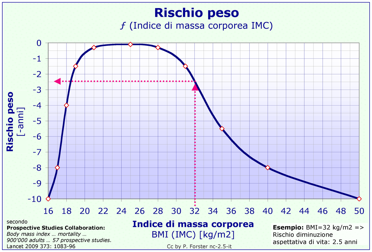 Peso Forma Wikiwand