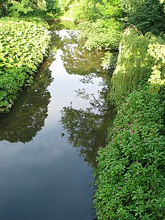 River Browney River in County Durham, England