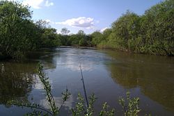 River Esaulovka.jpg