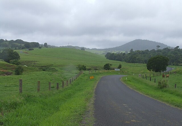 Country road to the Cathedral Fig Tree in the Atherton Tablelands