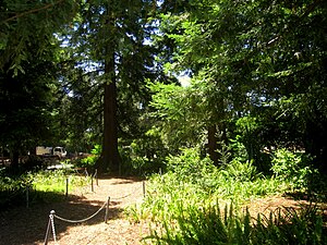 San Mateo Arboretum