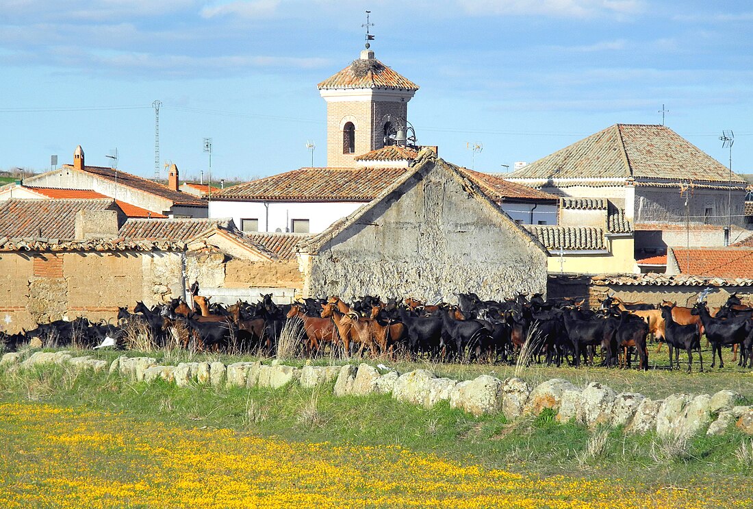 Santa Ana de Pusa