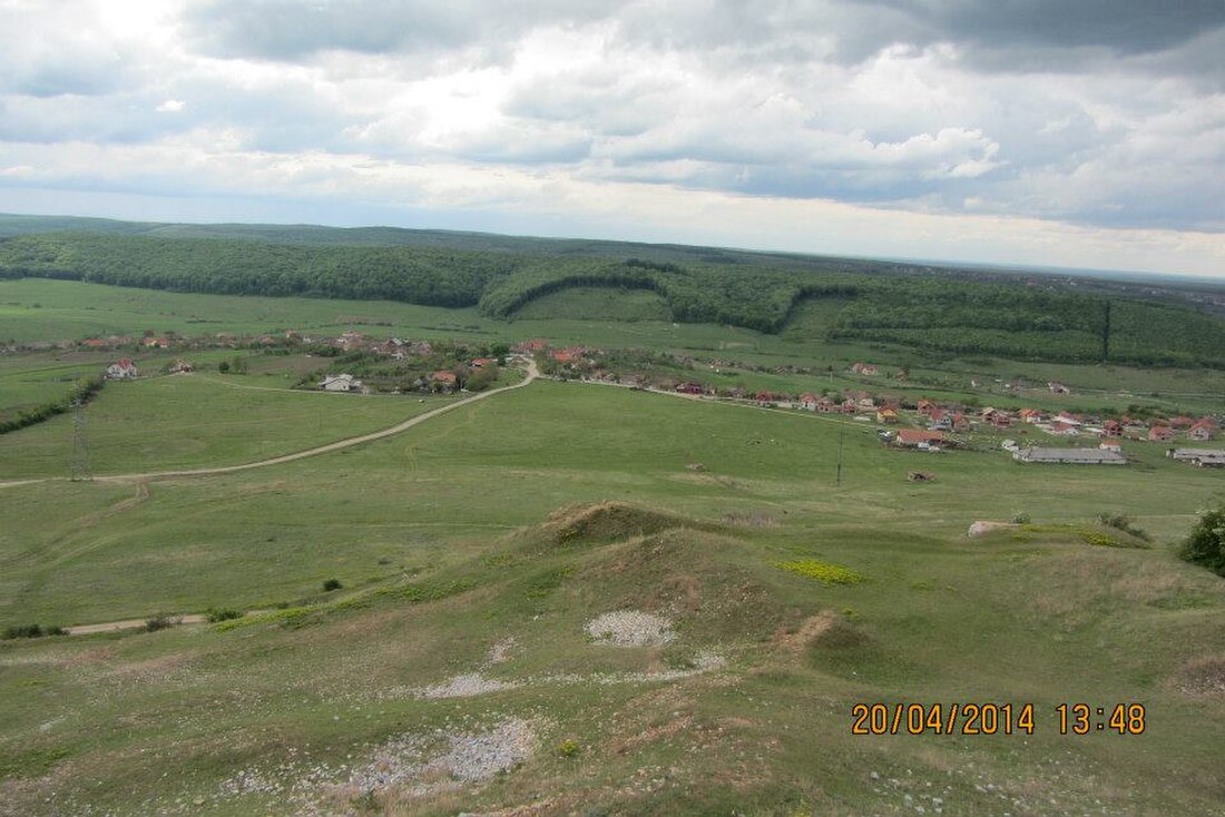 Betfia, Bihor