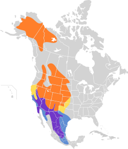 Distribución geográfica del mosquero llanero.