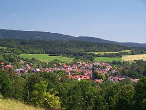 Schalkau: Geografie, Geschichte, Politik