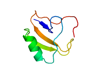 Scorpion toxin protein family