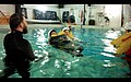 Sea Survival and Scuba Diving (33975864832).jpg