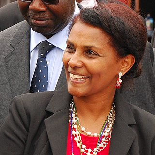 <span class="mw-page-title-main">Segenet Kelemu</span> Ethiopian plant pathologist