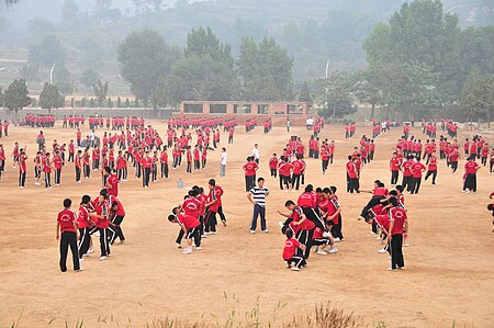 ไฟล์:Shaolin wushu.jpg