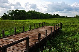 Sheldon Reservoir Laut Grass.jpg