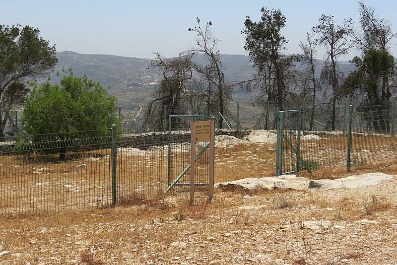 File:Shomronim, Shechem, Har Beracha, Shomron, Palestine 24.jpg