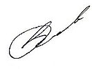 Signature of Valeryi Bolotov.jpg