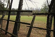 Čeština: Pastvina ve Stádlech, části obce Prachatice, kraj Jihočeský. English: Pasture in Stádla, South Bohemian Region, Czechia.