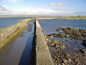 Manx National Heritage: Organisation