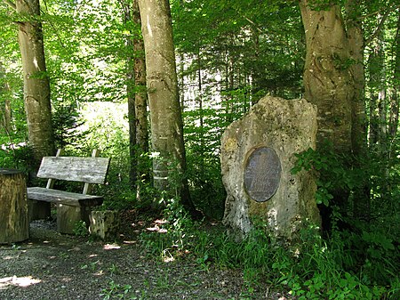 Staatforst Bayerdießen GO 4