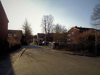 Steinkamp