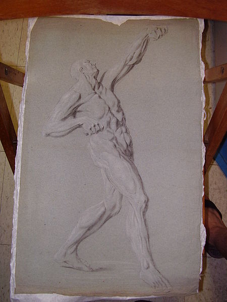 File:Straining-muscled nude (male).Wittig collection - item 30 -- drawing.reference photograph 01.JPG