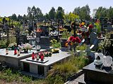 English: Parish cemetery in Suków