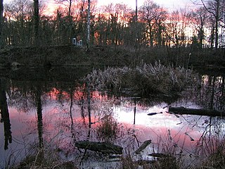 Hem Heath Woods