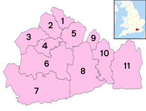 (1) Spelthorne, (2) Runnymede, (3) Surrey Heath, (4) Woking, (5) Elmbridge (6) Guildford, (7) Waverley, (8) Mole Valley, (9) Epsom and Ewell, (10) Reigate and Banstead, (11) Tandridge