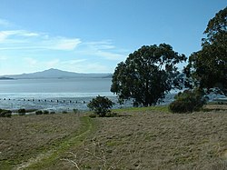 Mount Tamalpais from Point Pinole Regional Shoreline