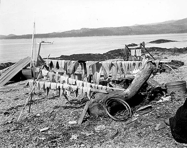 Camping site of king salmon trollers at Vallenar Point, 1902