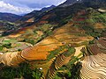 Terrassen in der Gemeinde Che Cu Nha, Mu Cang Chai (Unsplash).jpg