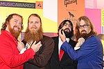 Thumbnail for The Beards (Australian band)