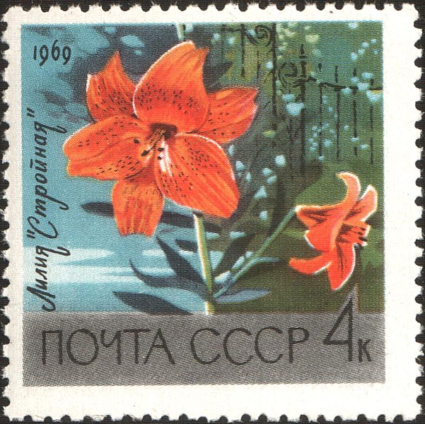 File:The Soviet Union 1969 CPA 3752 stamp (Lily Slender).jpg