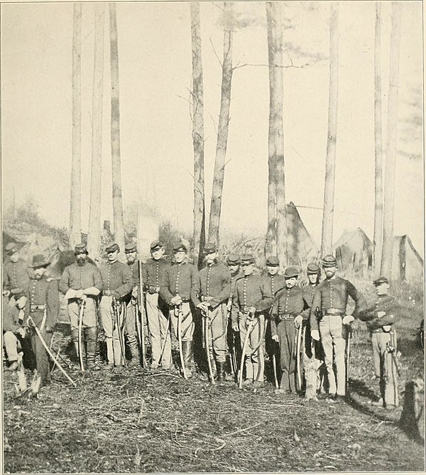 1st Cavalry at Brandy Station, February 1864