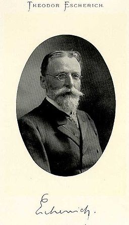 Theodor Escherich