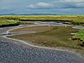 Tidal Estuary-3616, Tralee Bay, Co. Kerry, Ireland.jpg