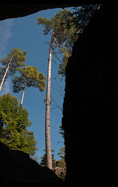 File:Tierpark Goldau (4980103825).jpg