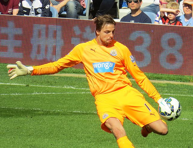 Krul playing for Newcastle United in 2015