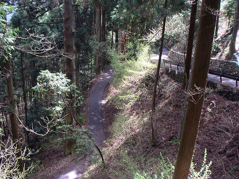 File:Tokyo prefectural road 201-1.jpg