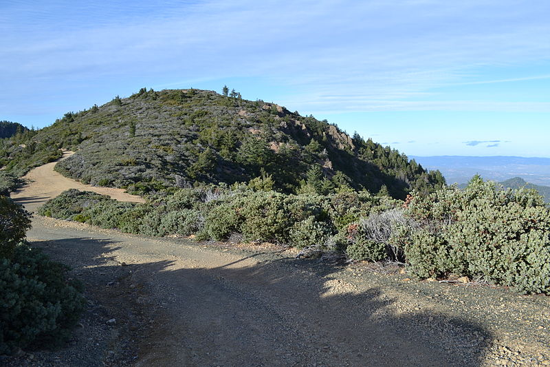 File:Trail in Robert Louis Stevenson State Park to the summit of Mount Saint Helena.JPG